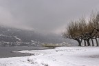 prima neve