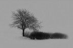 L'essenziale