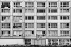 Grigiori urbani