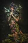 forest spirit
