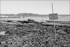 L'altro mare img.054