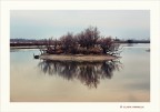 Canon 6D 24-105 F4 L
1/80 f 8
Iso 200 focale 98

AUGURI di Buon Natale a tutti gli amici di photo4u! 
La nostra Isola fotografica che  c .