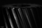 Canon 70D + Sigma 150mm macro
rawTherapee + GIMP

Secondo me da vedere su fondo bianco