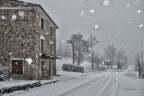 Forse la neve ama gli alberi e i campi, se li bacia con tant Forse la neve ama gli alberi e i campi, se li bacia con tant