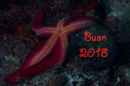 Buon anno a tutti