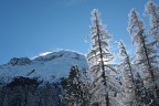 Dopo un paio di anni con il naso all'ins ho riesumato la vecchia Reflex. Buon anno a tutti. Nicola