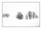 nel bianco