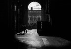 Insieme