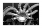 octopus ;/)