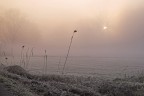 inchino al sole