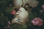Catarina