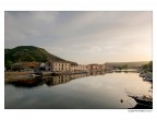 Bosa