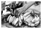 venditrice di banane