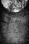 the ring