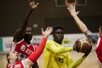 Campionato di #basket in carrozzina - serie B Girone A 4 giornata - 14/01/2018 

Basket Seregno Gelsia - Omal Icaro Basket Brescia 68-51

Canon 7DII + Sigma 120-300mm
RawTherapee + GIMP

Secondo me da vedere su fondo nero