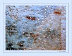 Sky in tears