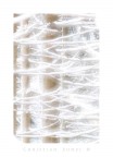 White Web