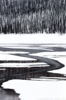 Paesaggio minimalista ritratto nel Parco Nazionale di Jasper, in Alberta (Canada).
Un saluto a tutti!