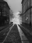Alle prime luci del mattino