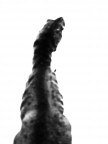 '''