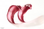 Cibo e quello che c' intorno