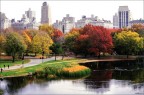 1987 -NY central park