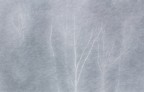 Impressioni Invernali