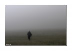 Immagine di qualche anno fa...prime ore del mattino ,durante le mie periodiche escursioni a Castelluccio...spero tornarvi presto....