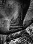 The Descent