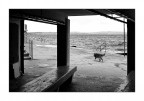 L'altro mare img.093