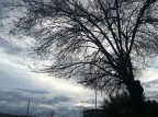 Foto scattata con Huawei p9 lite con ISO 50. 
Commenti e critiche ben accetti.