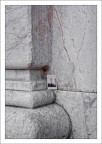 Saluti da Pisa