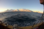 In mare
