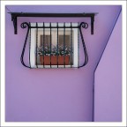 la finestrina la finestrina