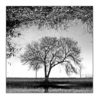 Inverno img.025 Inverno img.025