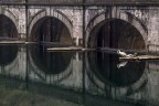 riflessi