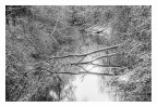 Bianco riflesso