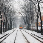 A Milano c' la neve!!!!