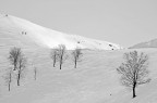 nel bianco