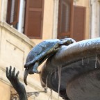 fontana delle tartarughe fontana delle tartarughe