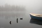 s.t. (fiume Adda)