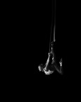 La magia del Circo