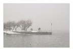 nevica