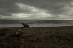 Solitario