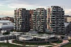 Alveare urbano