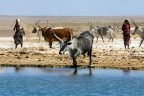 Dancalia, nelle sorgenti termali di Halalu Badu.