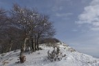 Semprevisa_DSC2523