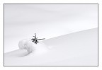 snowgraph