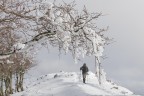 ST_DSC2548