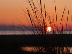 tramonto di maremma